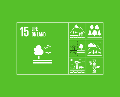 Goal 15: Life on landPhoto shoot in thick & wild forest awareness about Life on land.