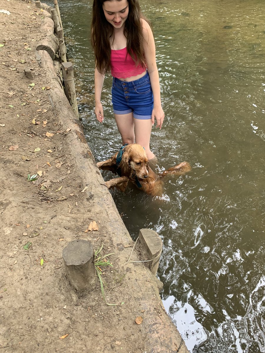 janekent80's tweet photo. A morning stroll and paddle for the #miniAHPs and dog for #AHPsActive @WeAHPs https://t.co/oWDXFokk9D