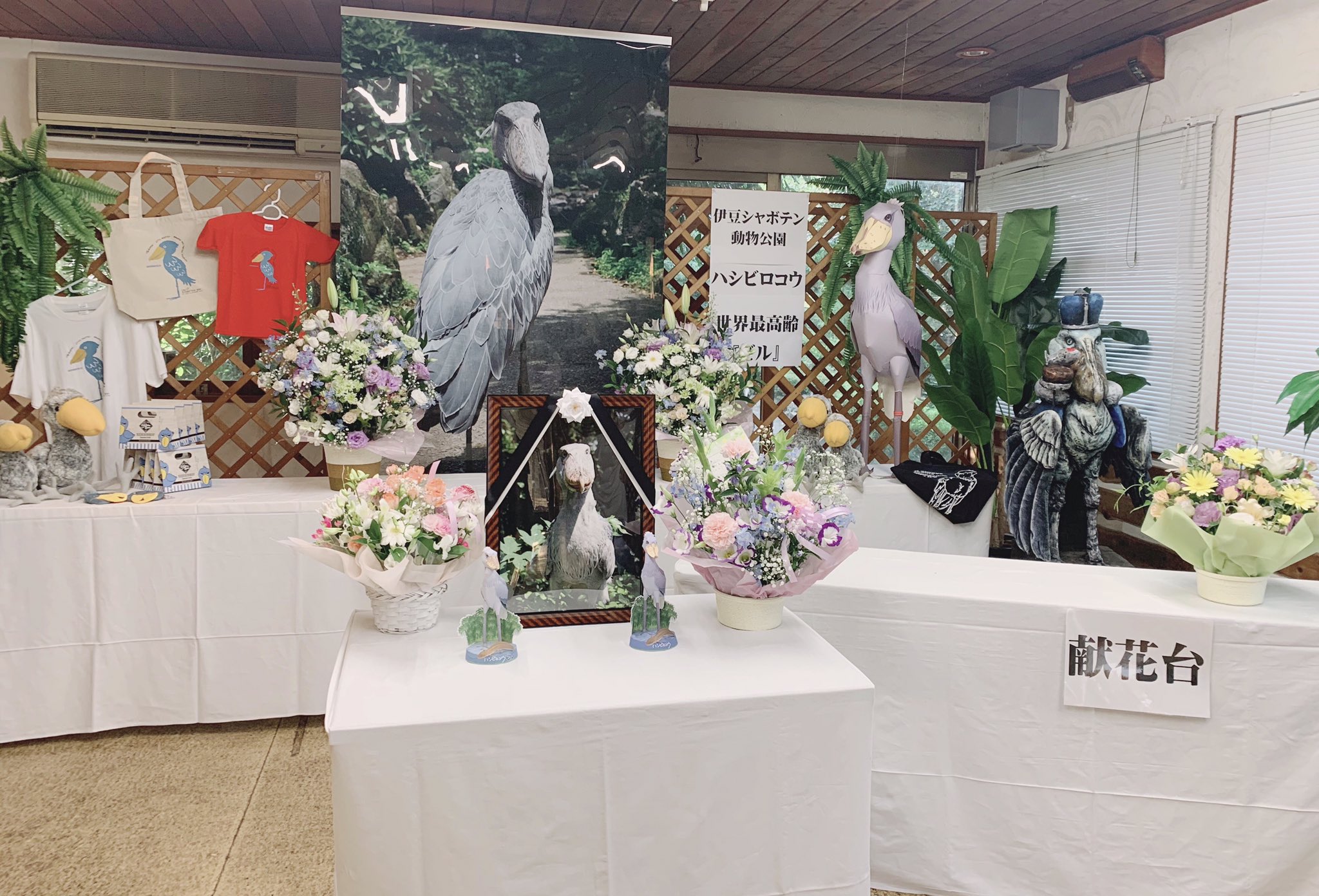伊豆シャボテン動物公園グループ 公式 先程 伊豆シャボテン動物公園 バードパラダイス 内に献花台を設置いたしました 今までありがとう ビル 安らかに眠ってください