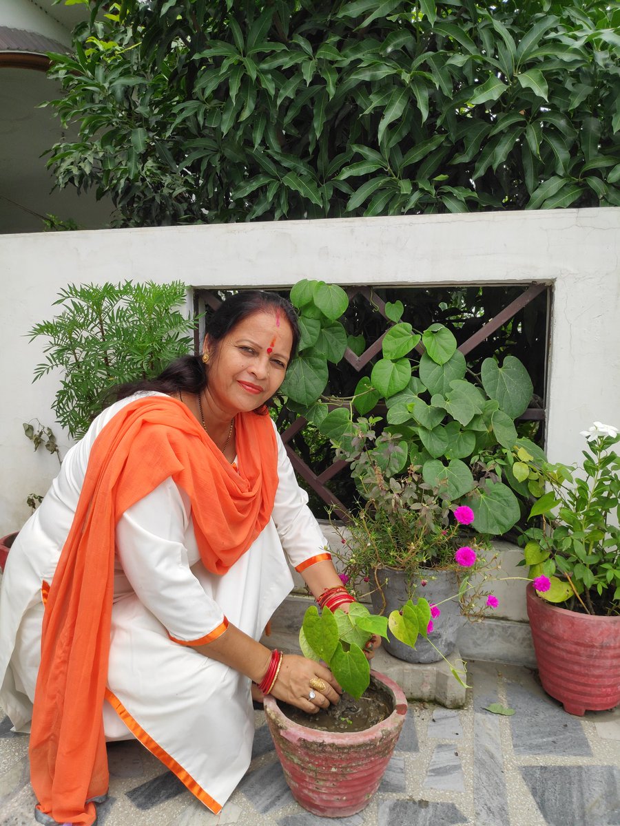 🕉️🙏🌹💐आचार्य श्री बालकृष्ण जी के जन्मदिवस के मौके में अपने घर में गिलोय व एलोवेरा का  पौधा रोपण किया।
आचार्य बालकृष्ण जी को जन्मदिन की बहुत बहुत बधाई एवं हार्दिक  शुभकामनाएं व जड़ी बूटी दिवस की बधाई ।🙏🏻🕉️💐🌵🌴🍀🌿🥀🌷