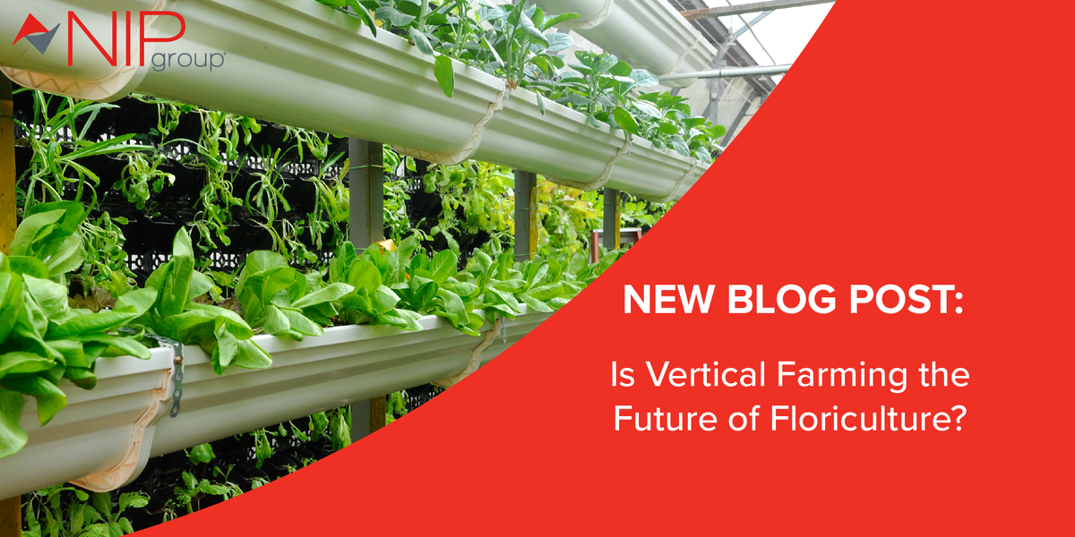 #VerticalGrowing is becoming increasingly popular among floriculture #GreenhouseGrowers thanks to its sustainability &amp; reduced need for resources. Think vertical growing might be the next step for you? Check out our new blog to learn more: bit.ly/31wY5Jg