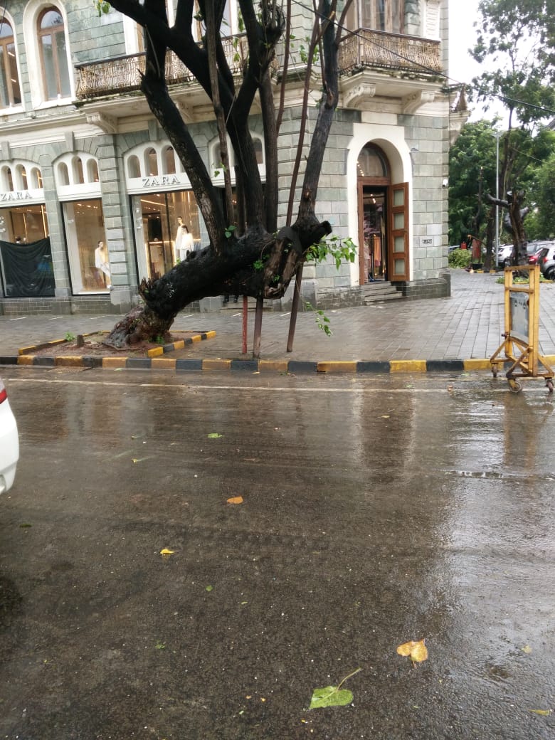 SohamSalvi02's tweet photo. Yesterday due to heavy rains, many trees fell around in the said area causing damage to public property. Hence, I request you to take appropriate action with respect to tree situated therein before it poses a serious threat to the life and property of the citizens. (2/2) https://t.co/sdOKtBYvNe