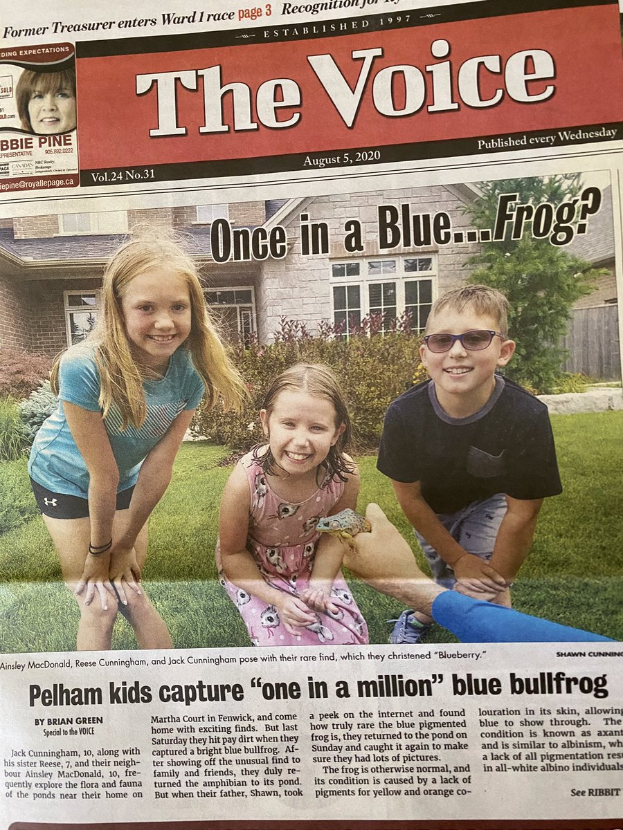 Wellington Heights tweet media