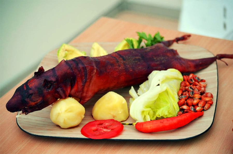 QRFoodie's tweet photo. con pocos recursos. A pesar de que últimamente se ha dudado de la higiene alimentaria de este animal, se considera una buena fuente de nutrición, con un 21% de proteínas y pocas grasas, un 8%. Es un roedor, conocido también como conejillo de indias, del que se aprovecha todo, https://t.co/PCWfg48cnF