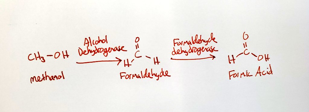 Methanol uses the same enzymes that is used to metabolize ethanol, but the end products are different. See the format acid on the right? That will make you blind. It permanently destroys your optic nerve.