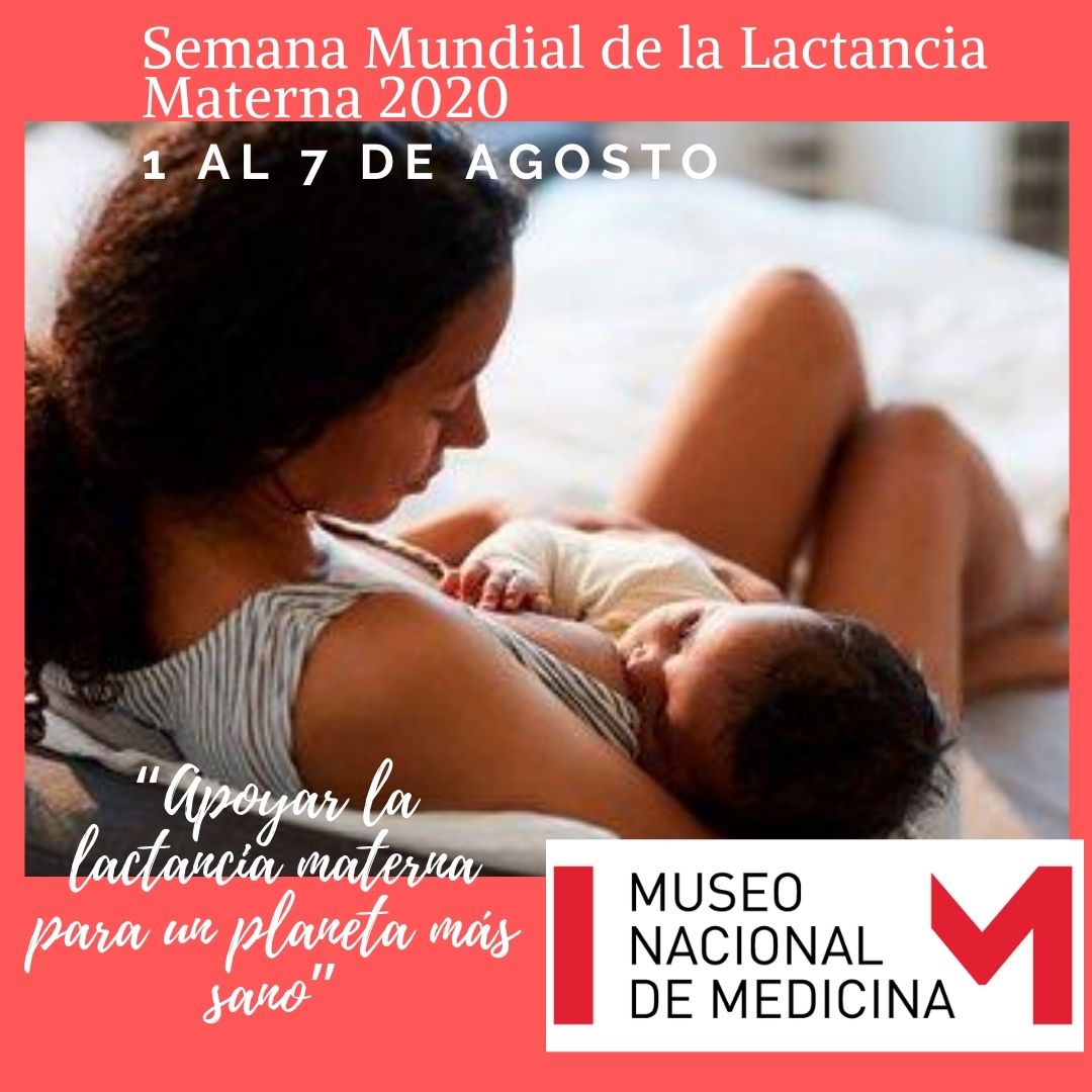 Museo Medicina Chile (@museomedicina) on Twitter photo 