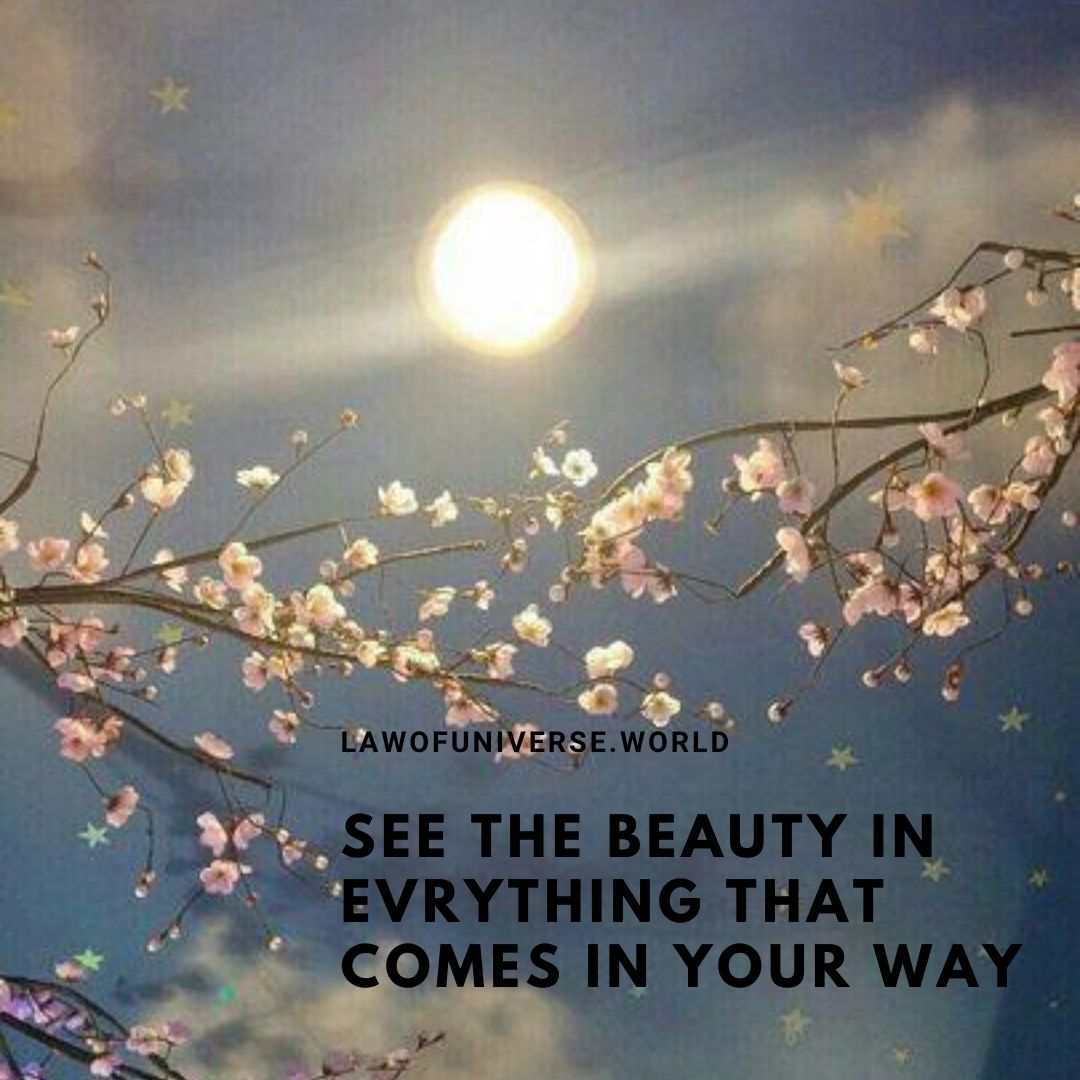 lawofuniverse2's tweet photo. #meditation #feminism #manifestation #universe #lawofattraction #miracle #love #selflove #loveyourself #loveyou #mine #goodday #blacklivesmatter #home #spiritual #spiritualawakening #divine #magic #beautiful #instagood #tbt #happy #cute #photooftheday #nature #followme #tumblr https://t.co/ELWEDWpZ2S