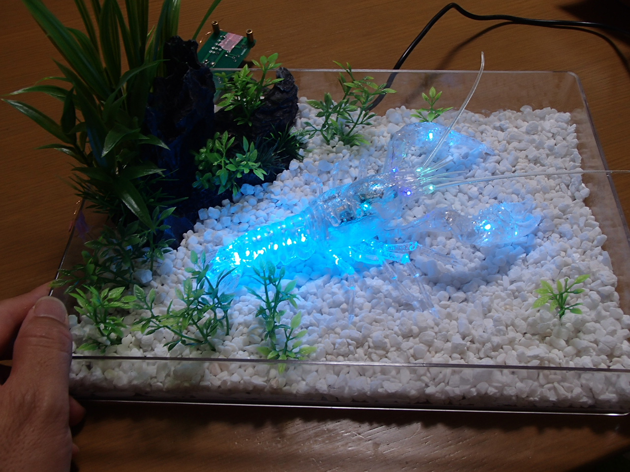 Gyo こびとさんの仕事 ベースできました 透明psバットに寒水砂を接着 Gexの水草などを加工して植え込み リアル水槽 では常用できない白化粧砂 糞や珪藻などですぐ汚れる を使える アクアリストにとって夢のレイアウト これでアメリカザリガニ