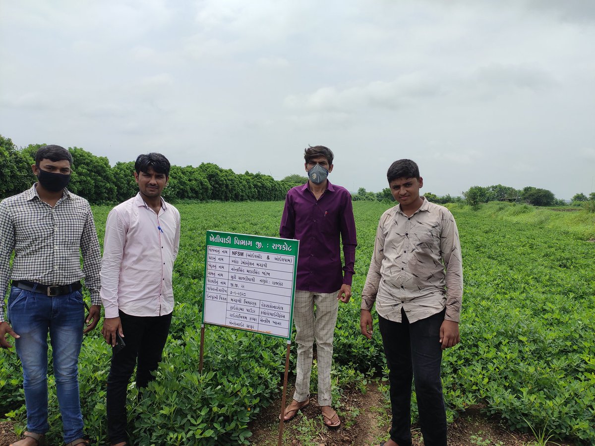 PanchaniKishan1's tweet photo. આજરોજ રાજકોટ તાલુકા ના નવાગામ...સર...તેમજ સરધાર....ગામ માં ખેતીવાડી વિભાગ તરફથી આપવામાં આવેલ મગફળી બ્લૉક ડેમો ના જીઓ ટેગીંગ ની કામગીરી કરતા રાજકોટ તાલુકા ના ગ્રામસેવક ......@gajera_rashmin @RameshkumarRTi1 @ddorajkot https://t.co/kdoGzQwRA4