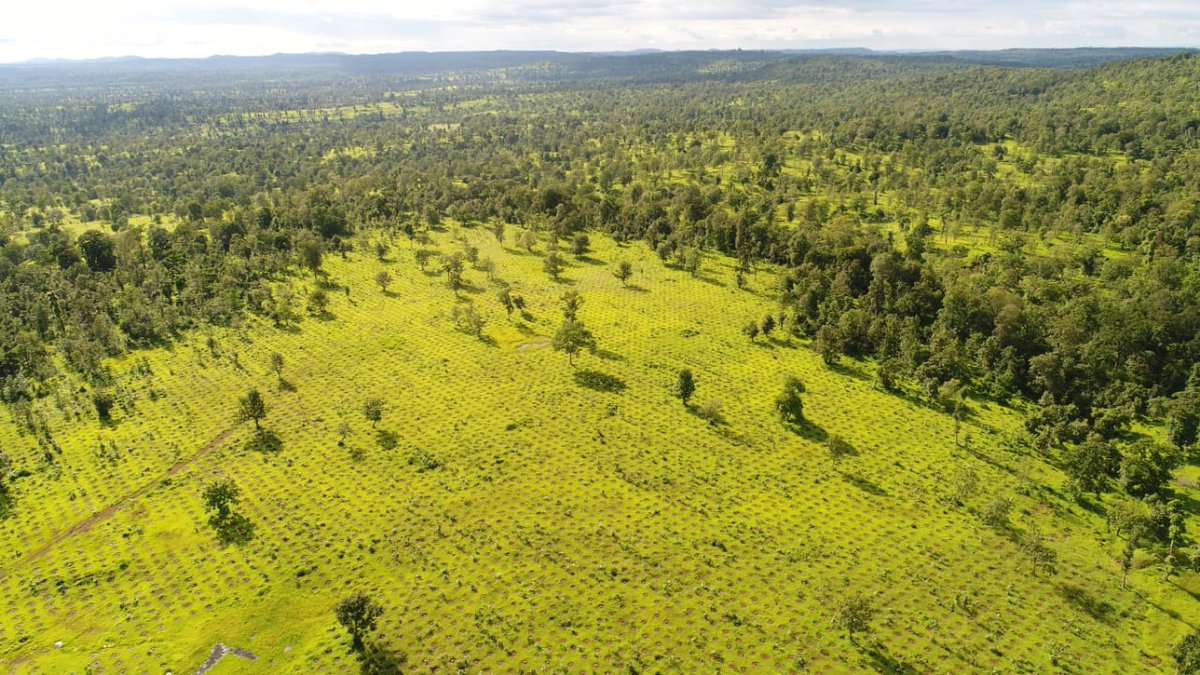 He who plants a tree plants hope- Lucy Larcom. 
Reflection of the hard work of our field staff in planting for better future of all. Let us all plant this monsoon.#Dangs #Forest #Forestry <a href="/CcfCircle/">CCF Valsad Circle</a> <a href="/PccfS/">APCCF D&M,Gujarat State</a> <a href="/HoffPccf/">PCCF & HoFF, Gujarat State</a> <a href="/drrajivguptaias/">Dr Rajiv Kumar Gupta IAS (Retd)</a> <a href="/IFS_Officers/">GuardiansOfNature</a>