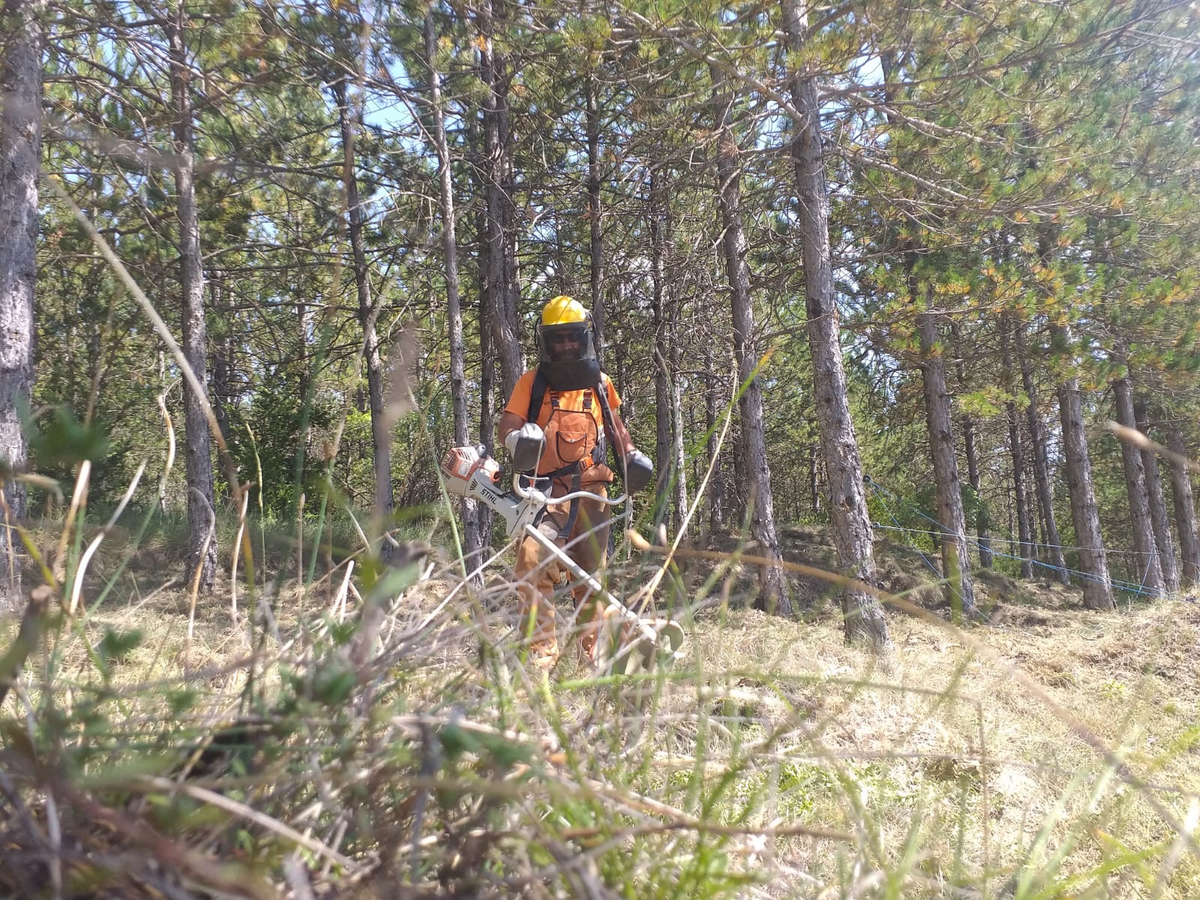 CGT SARGA (@cgtsarga) on Twitter photo #OperativoLowCost diariamente las cuadrillas de tierra están desde las 14h hasta las 20h50min haciendo trabajos forestales pesados, parece broma, pero hasta que no alcance 39º🌡nadie suspende los trabajos X calor. Un atentado a la salud de lxs trabajadorxs
<a href="/instrabajoyss/">inspectoresdetrabajo</a> #OperativoLowCost diariamente las cuadrillas de tierra están desde las 14h hasta las 20h50min haciendo trabajos forestales pesados, parece broma, pero hasta que no alcance 39º🌡nadie suspende los trabajos X calor. Un atentado a la salud de lxs trabajadorxs
<a href="/instrabajoyss/">inspectoresdetrabajo</a>