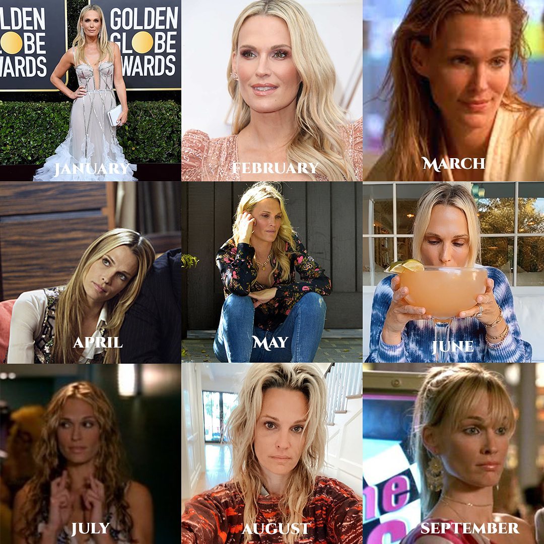 Molly Sims tweet media