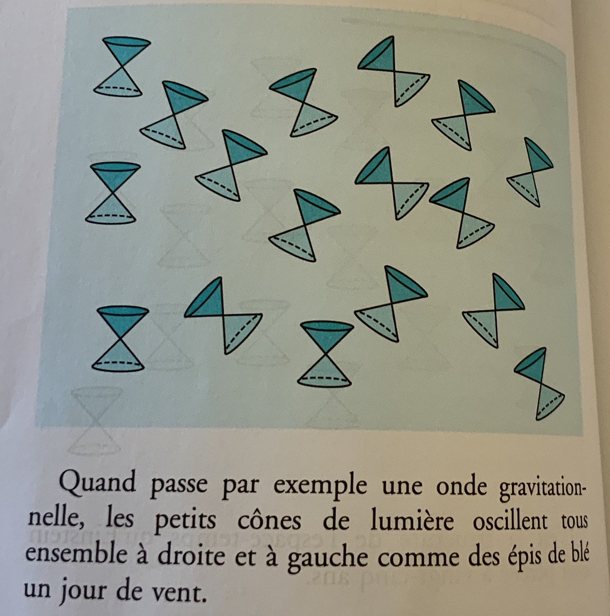 Here is the structure of spacetime that Einstein understood when he was 35 years old(physicists have the habit of drawing every event as a light cone with its past, its future and a part of the universe that is neither past nor future, just as every person has forebears)