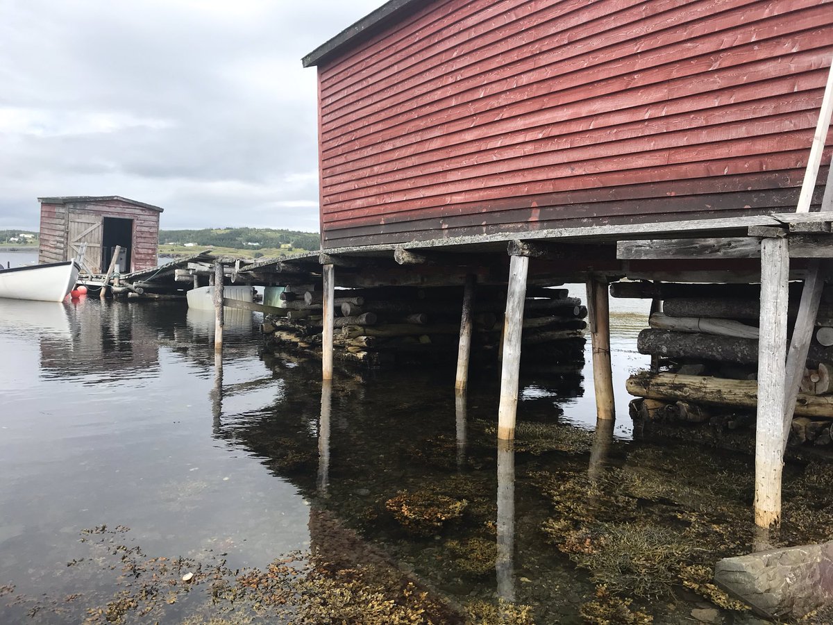 MrGoldsworthy12's tweet photo. If you happen to be in the Port Rexton area and wanna experience rough carpentry skills, stop by our wharf.  #FamilyHeritage #HelpNeeded #NeverEndingProject https://t.co/N2Fwq77LXY