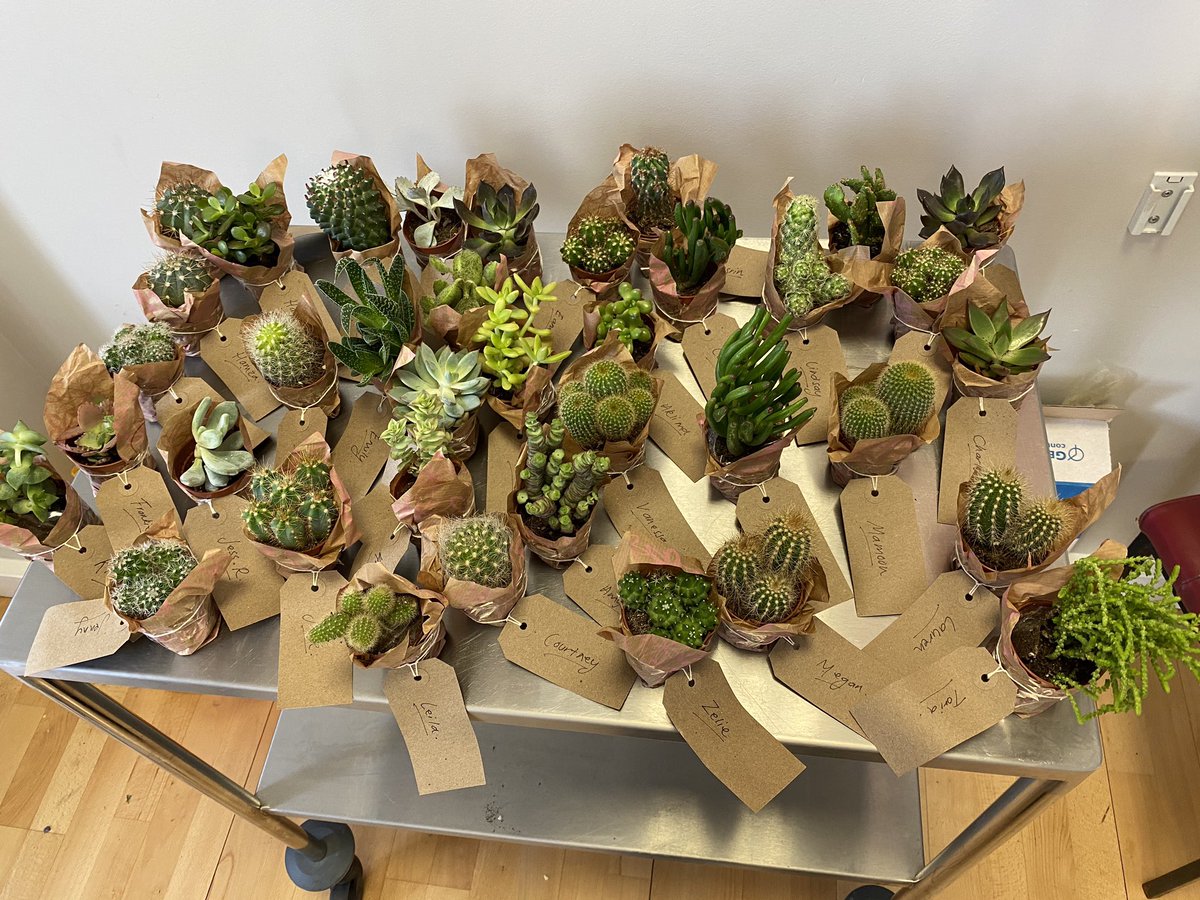 A thank you to the Rehab and Discharge team for all their hard work over the last 5 months 🌵🌿🌵#newteam #redeployment #dreamteam