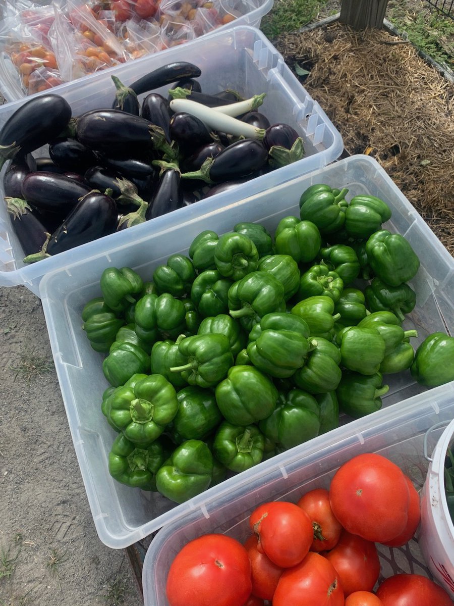 The Family Pantry is safely open and accepting new clients. All food distribution is curbside &amp; social distancing is strictly followed.   Clients will receive nonperishable items, meats, breads, and fresh vegetables from the Pantry garden. A family of 4 will receive 6-8 bags.