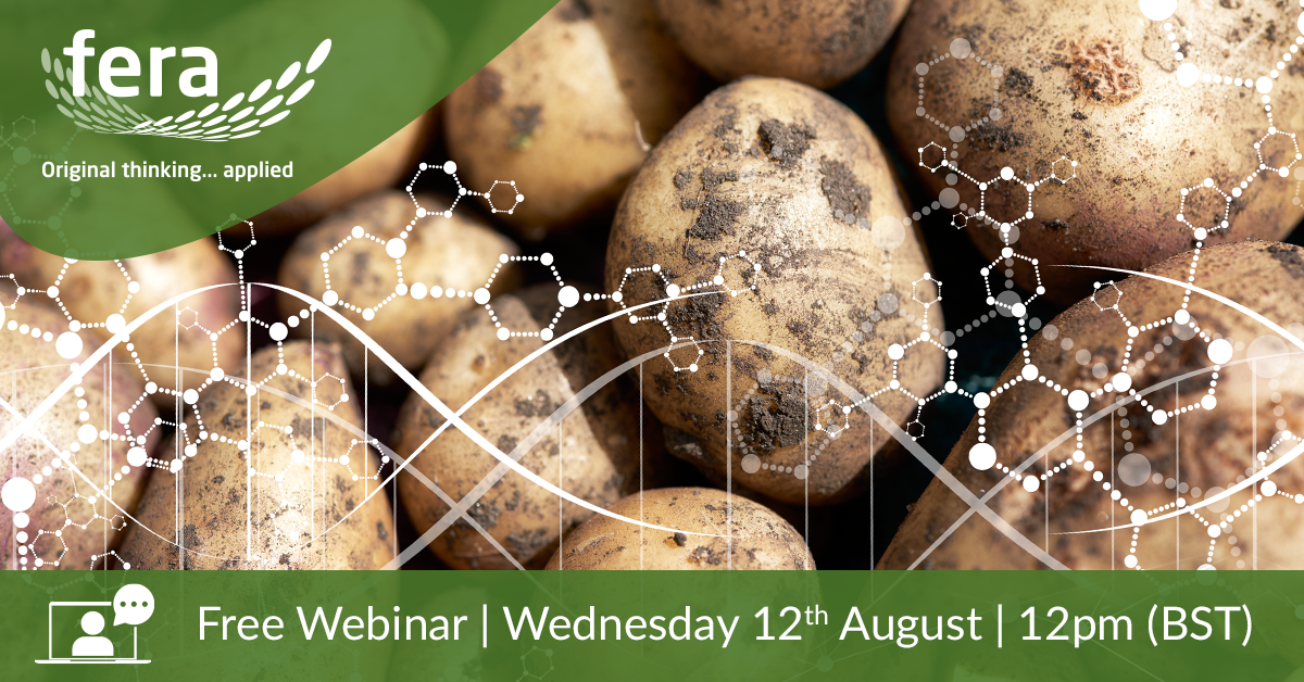 FeraScience's tweet photo. Register now for our FREE webinar – find out how to minimise yield reductions and maximise marketable yield in your potato crop from our industry leading Plant Virologist, Dr Adrian Fox ➡️ https://t.co/kZqhwfNDcB  #potatoes #harvest #seedpotato #webin https://t.co/YjVSSfs8k2