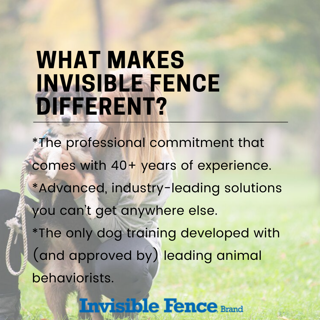 InvisibleByFF's tweet photo. At Invisible Fence, our innovative solutions allow you to enjoy all the love your pet has to give- without all the stress and mess. To schedule a FREE consult, call Emilio at 973-575-9111. #InvisibleFencebyForeverFence #NJFence #NJPets #PetSafety #BackyardSolutions #VeteranOwned https://t.co/HIhI1BJzgO