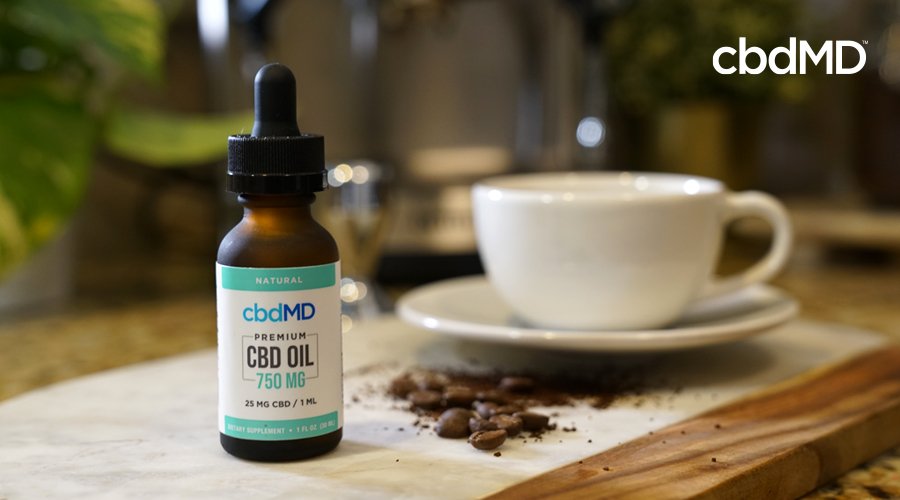 cbdmd_usa's tweet photo. Itโs hard to be in a great mood early in the day, but the exciting duo of CBD and coffee might just make you a morning person. ๐ โ
https://t.co/p4jM134bh2
#cbd #cbdMD #health #wellness #cbdroutine https://t.co/4yBHiGgNQv