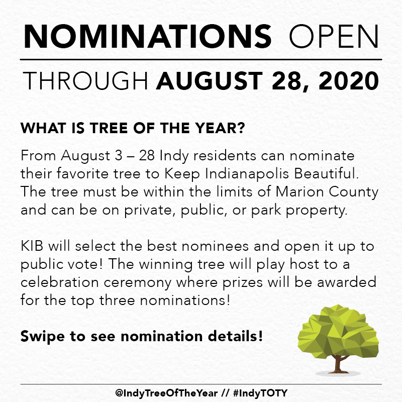 kibiorg's tweet photo. Ever passed by a tree and  💭, "Now THAT is a 🆒 tree!"? Nominate your favorite tree in Indianapolis as Indy' 2020 Tree of the Year. 🌳🏆 Any tree in Marion County is eligible! Check out ⬇️ for how to enter. Nominations due by August 28, 2020. @IndyTreeOfYear #IndyTOTY https://t.co/eEQcM4N9ne