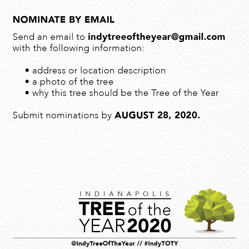 kibiorg's tweet photo. Ever passed by a tree and  💭, "Now THAT is a 🆒 tree!"? Nominate your favorite tree in Indianapolis as Indy' 2020 Tree of the Year. 🌳🏆 Any tree in Marion County is eligible! Check out ⬇️ for how to enter. Nominations due by August 28, 2020. @IndyTreeOfYear #IndyTOTY https://t.co/eEQcM4N9ne