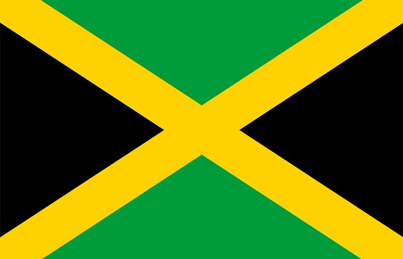 RoPatt18's tweet photo. The Flag                  The Face

#JamaicanIndependenceDay 
#Jamaica58 #Jamaica https://t.co/sTksa3BRBc