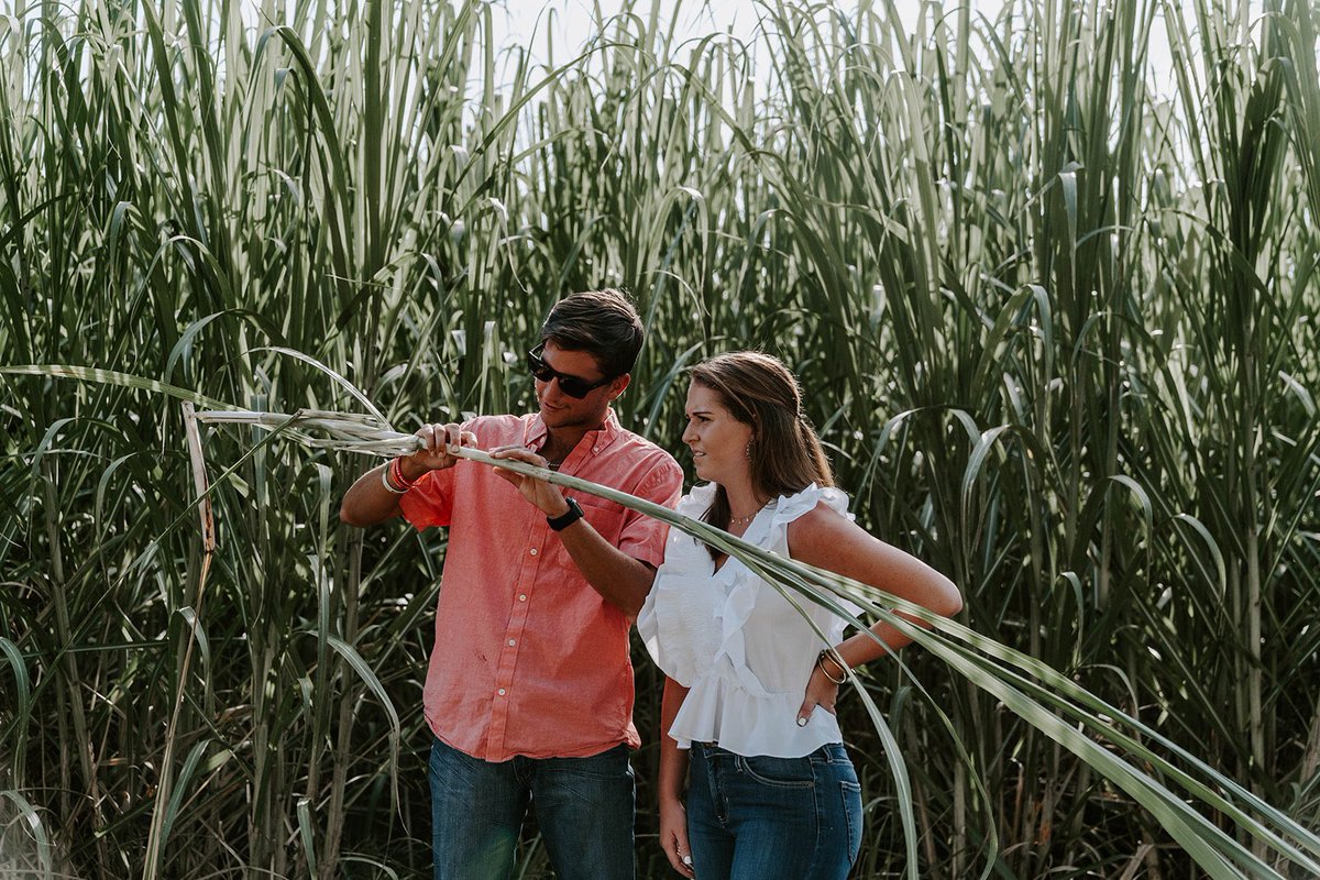 Its_Bx's tweet photo. Mais dat cane lookin good. @paigee_morgann isn’t interested in sugar cane borers though. 

📸@MirandaHebert21 📸 https://t.co/3lIcp8E1ed
