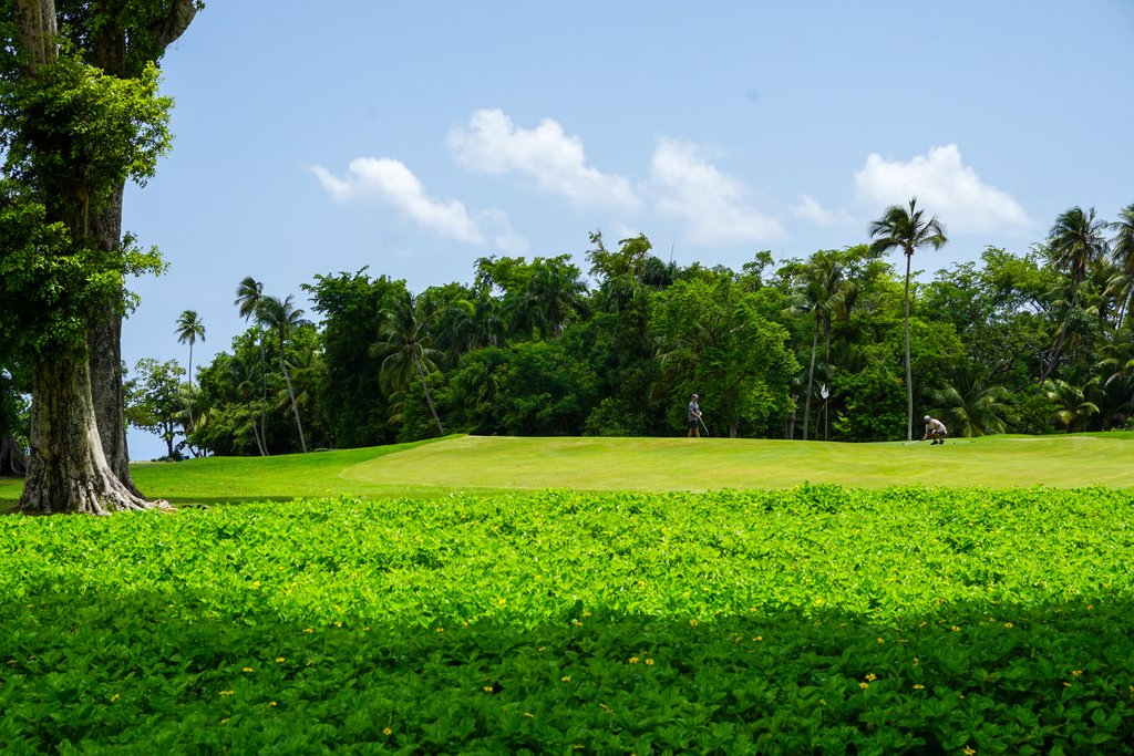 Dorado_Beach's tweet photo. Experience championship golf courses at our tropical playground 🏌🏻🌴 https://t.co/W2YQHDBWjJ