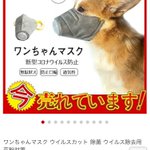 実は危険!？今売れているという犬用マスクにご注意を!