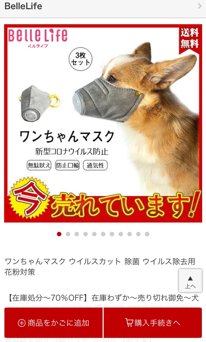 実は危険！？今売れているという犬用マスクにご注意を！