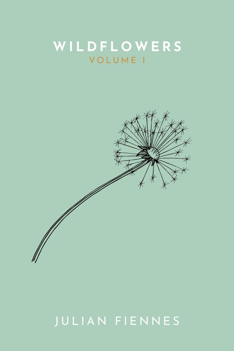 UnderstudyBooks's tweet image. Wildflowers Volume 1 is out now on Amazon!

US: amazon.com/dp/B08B693SZH
UK: 

Paperback available with free delivery using code JUNE here: understudypublishing.com/shop