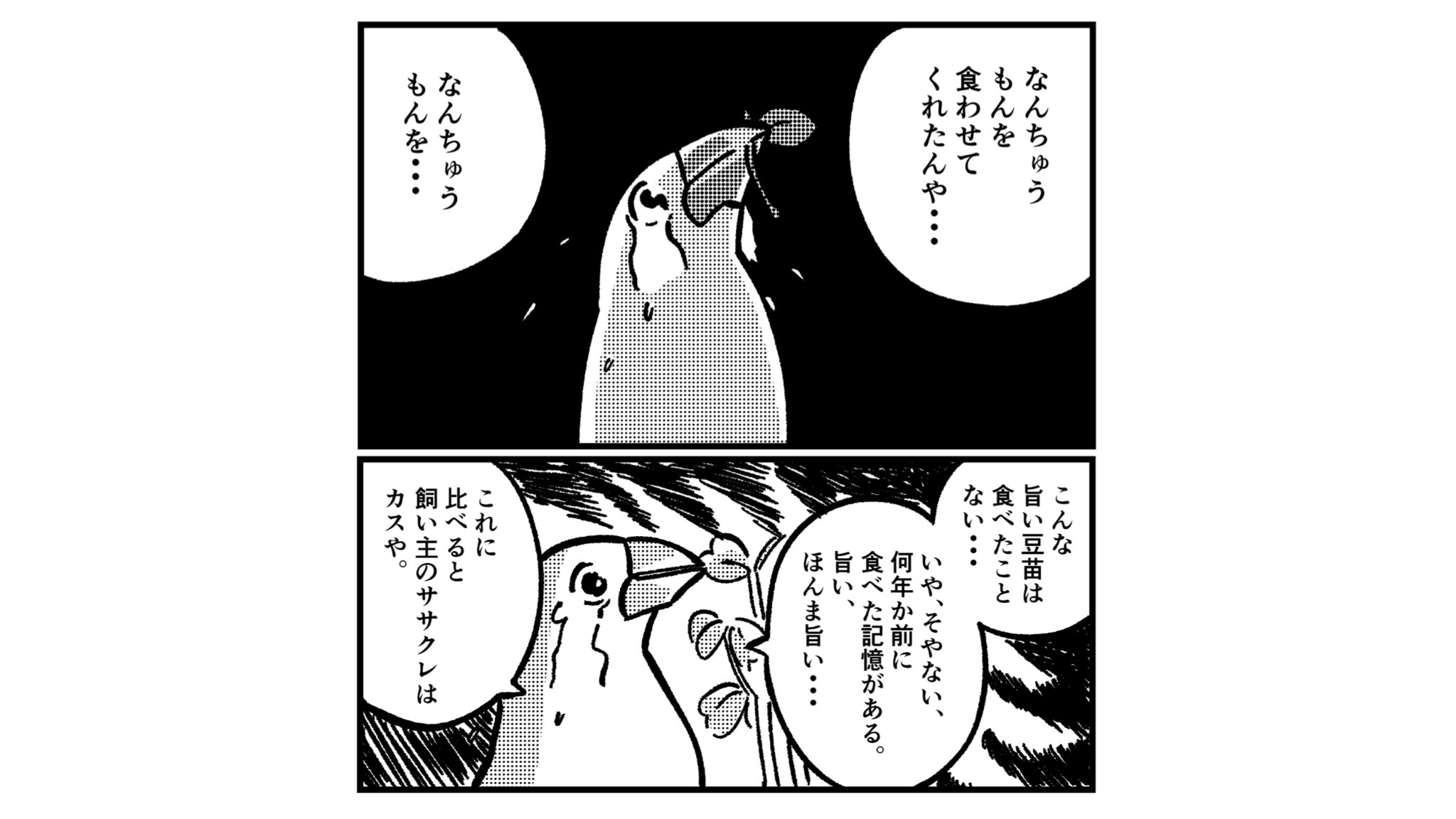 Paru パル Paruuroko Twitter