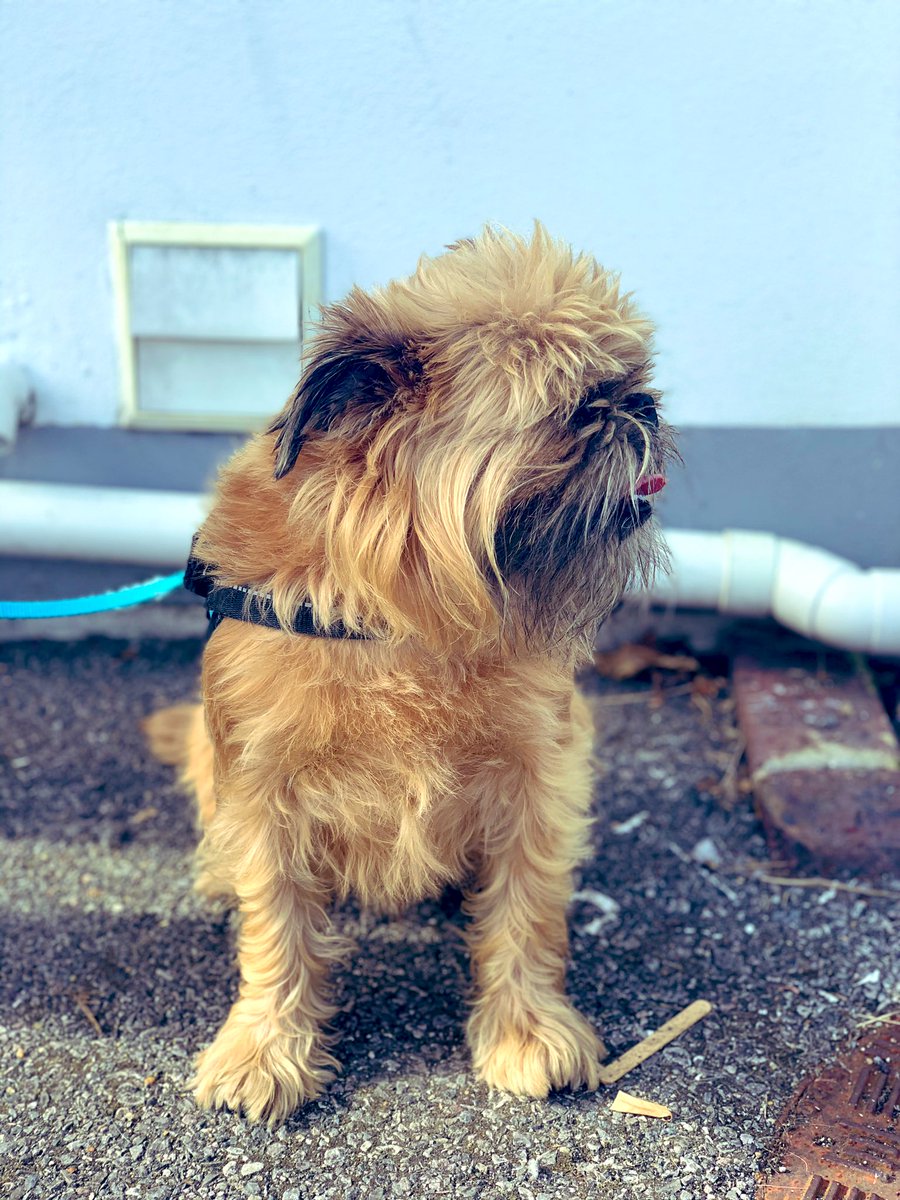 My child is in surgery. Here he is just being handsome 💖