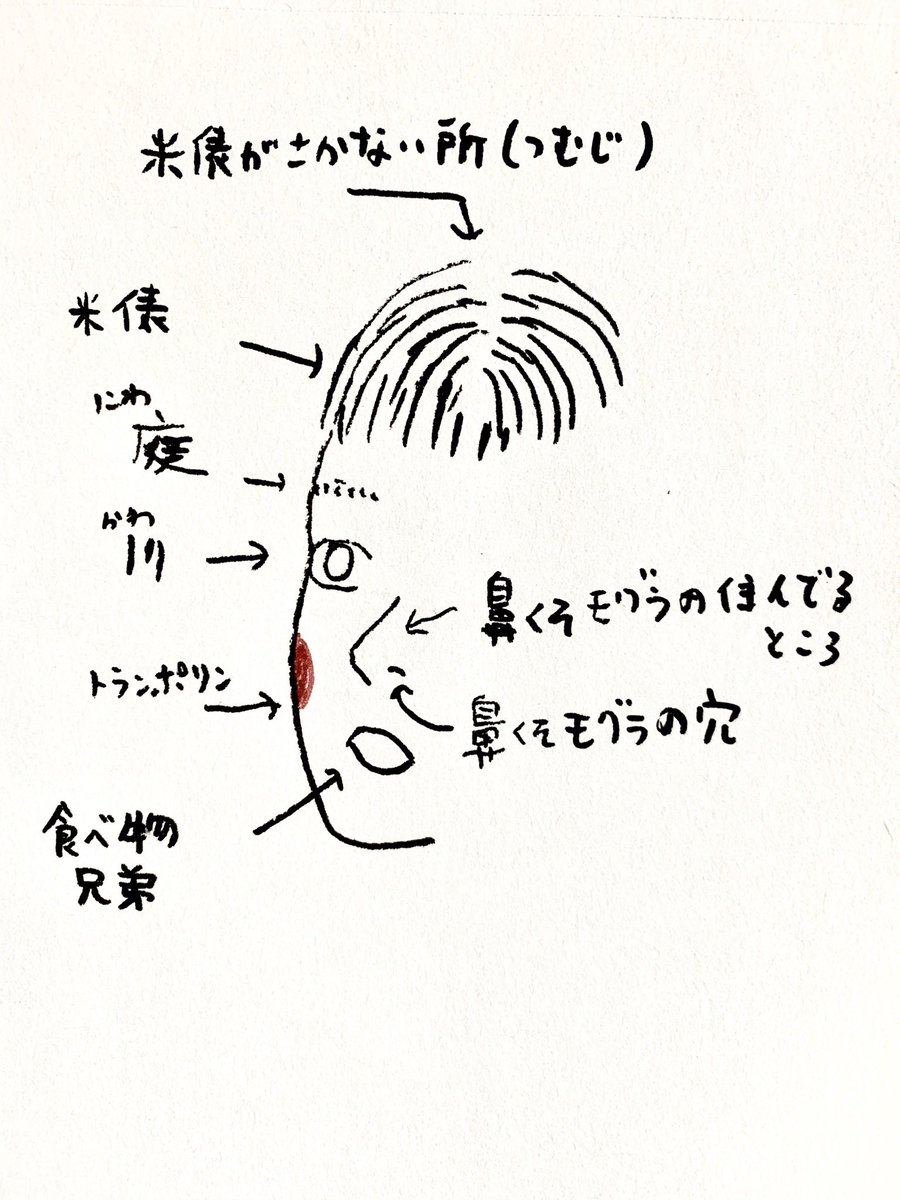 中尾よしのり 娘 6歳 が考えた 顔のパーツの名前を絵にしてみました 中尾よしのり 娘 6歳 が考えた 顔のパーツの名前を絵にしてみました
