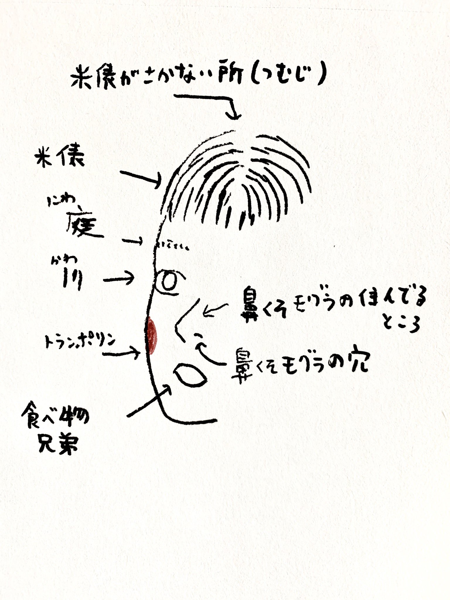 中尾よしのり 娘 6歳 が考えた 顔のパーツの名前を絵にしてみました T Co 7yplbvatmz Twitter 中尾よしのり 娘 6歳 が考えた 顔のパーツの名前を絵にしてみました T Co 7yplbvatmz Twitter