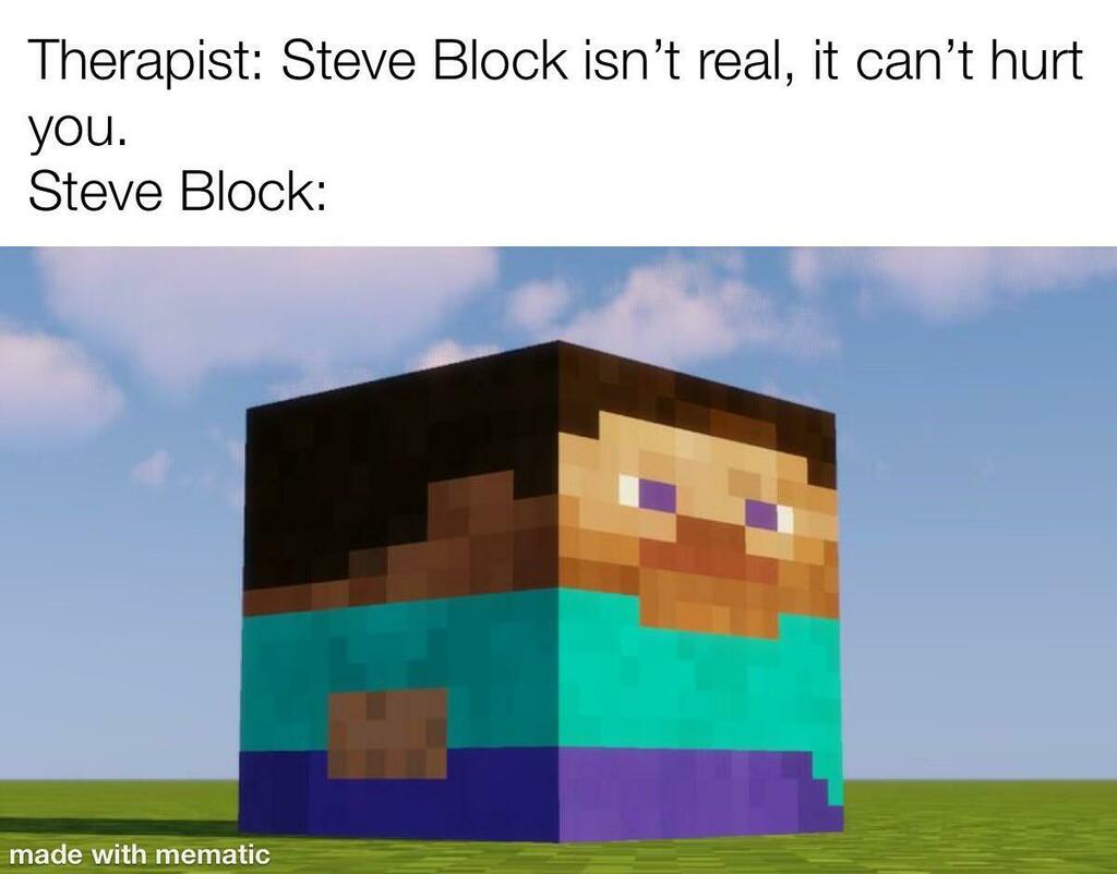 Minecraft Memes Please Get Out Of My Head Steve Block Please
