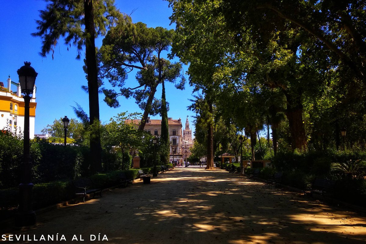 SevillaniaAlDia's tweet photo. 📜 Junto a la emblemática Puerta de Jerez están los jardines de Cristina, inaugurados el 24 de julio de 1830, onomástica de la esposa de Fernando VII, a quien le estuvieron dedicados.
#TDSCultura #LocalGuidesSevilla https://t.co/o10IG3PjcF