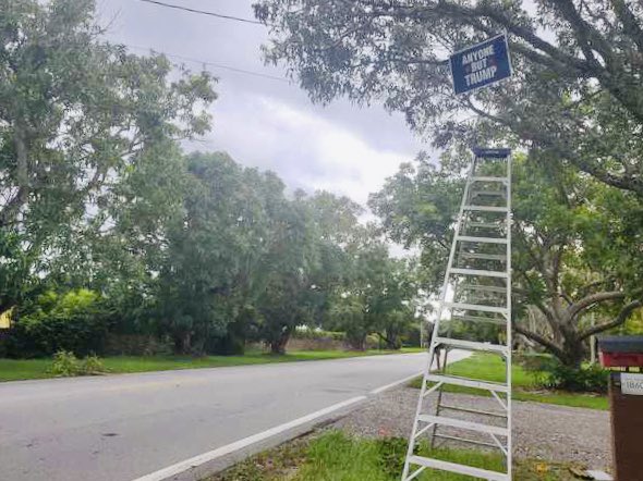 BidenHype's tweet photo. โThey keep taking my yards signs and I keep putting them up!โ - Nick from South Florida is representing #TeamJoe ๐บ๐ธ with perseverance ! #GoNickGo https://t.co/10rFQmETWy