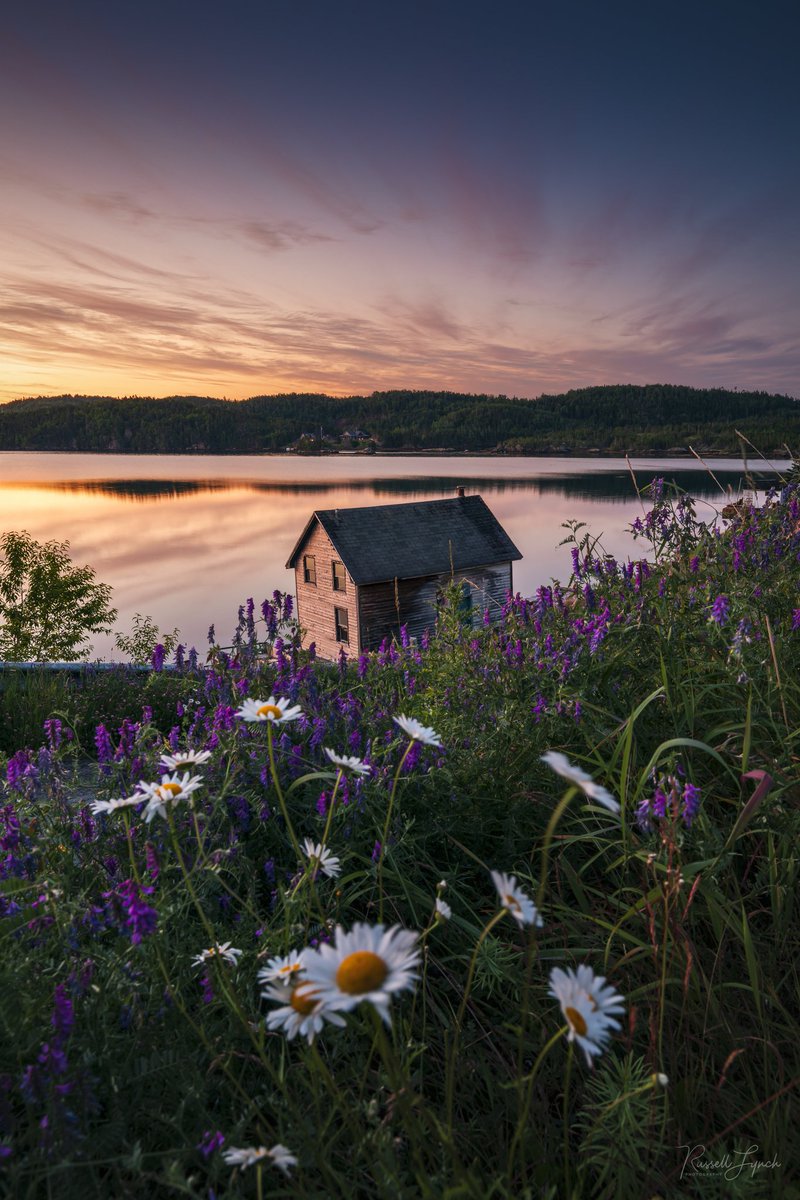 Russell Lynch Photography tweet media