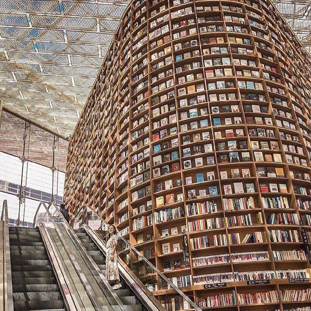 edpublibook's tweet image. [La minute insolite]  

Bibliothèque de Séoul en Corée du Sud.  😍😍😍
Un tour  s'impose ! 

#Publibook #Inspiration #Ecriture #Livres #Bibliotheque #Lecture
