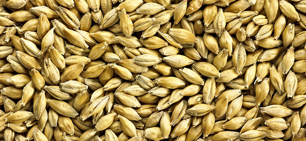 Simpsons Malt Ltd. tweet media