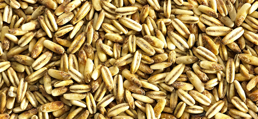Simpsons Malt Ltd. tweet media