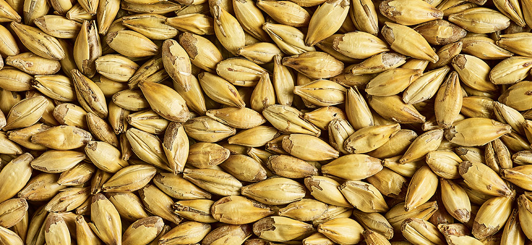 Simpsons Malt Ltd. tweet media