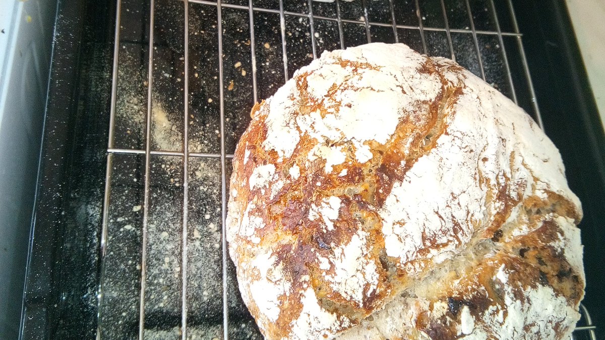 DorisEWendt's tweet photo. Top tip for #homeoffice:
Combine Pomodoro Timers with #sourdough bread baking; write lots in 1,5 h and have a tasty lunch afterwards! #tomatotimer @PomodoroTech
Massive thanks to Lucie for sharing recipe & instructions ๐
https://t.co/FrRiHDXZy5 https://t.co/FuL2ZHmX9g