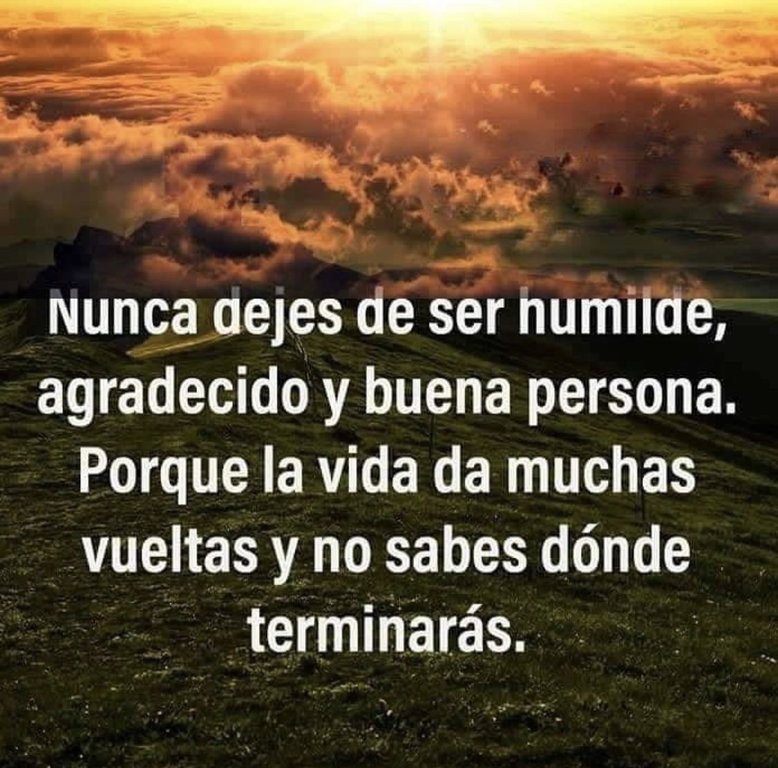 onavel aristy (@onavel12) on Twitter photo 