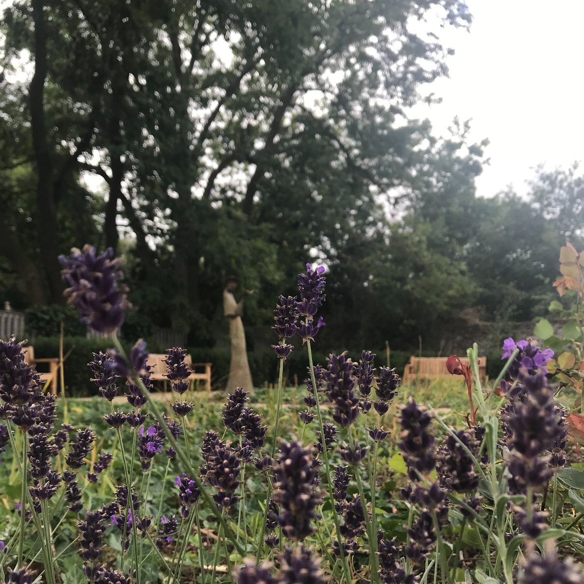 MoLI_Museum's tweet photo. Our gardens are in full bloom at the moment! 🌸  The gardens can be accessed from the Iveagh Gardens or from the museum and are the perfect place to chill out with a book and a coffee from @TheCommonsMoLI. ☕ 📚 https://t.co/zOxRxhOzbv https://t.co/8pio4GOaeg