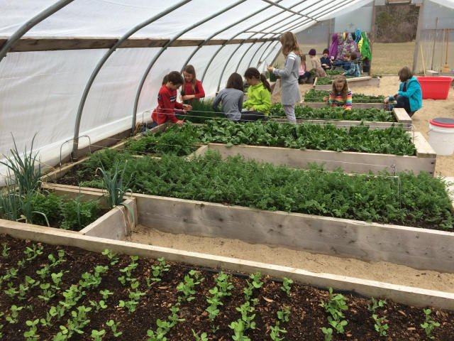 Microbiblioteca's tweet photo. Cultivar tu propios alimentos, asignatura obligatoria en todos los colegios
https://t.co/mwfkRia3MR
#desarrollosostenible #educacionparaeldesarrollo #educacionrural
#pobreza #bienestarsocial #campesinos #agricultor #vidarural #rural #desarrollorural #desarrollosocial #vidadecampo https://t.co/UNYQXZYrwF