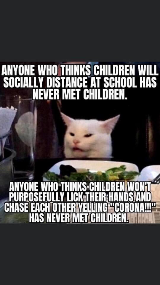 Back to school will be fun for parents this year! 🙄