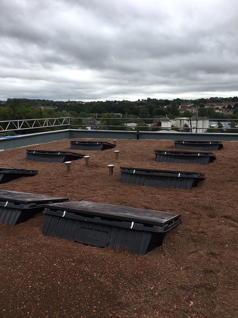 We have just spread this drought tolerant wildflower seed mix on our latest project in Bristol. Encouraging to see urban greening on affordable housing. More biodiverse extensive green roofs coming to bristol soon @bgreencapital <a href="/morss_alex/">Alex Morss 🦇🌍⏳</a>   #biodiversity #greenroof