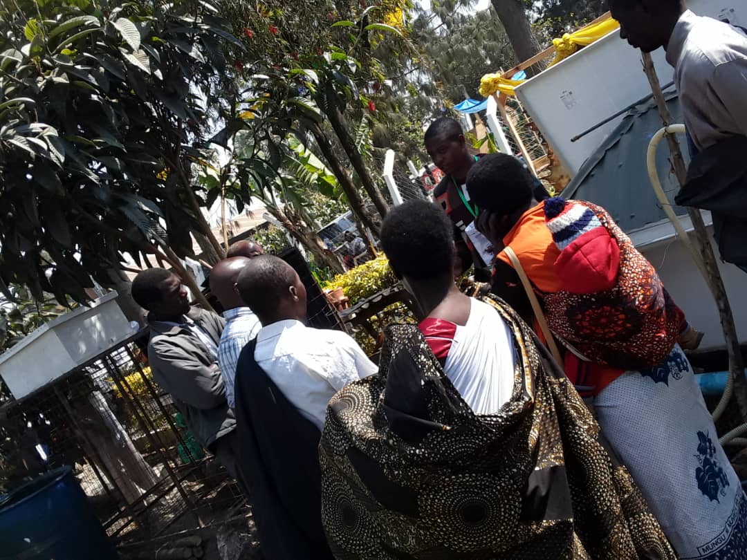 Simusolar tweet media